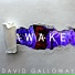 David Galloway