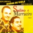 Sulino e Marrueiro
