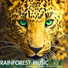 Rainforest Music Lullabies Ensemble