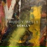 Muddy Wells