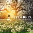 Ceremonya