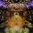 Metaphyz