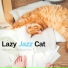 Lazy Jazz Cat