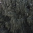 Puscha