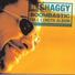 Shaggy Wayne Wonder