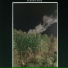 Burning Pyre