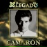 CAMARON