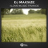 DJ maxSIZE