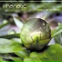 Phanatic-In My Head