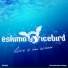 Eskimo & Icebird