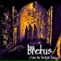 Bretus