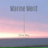 Marine Merit