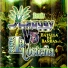 Banda Maguey