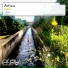 Amcu