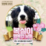 복실이 행복한 날들 Boksili