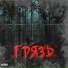 DREG34
