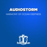 AudioStorm