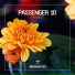Passenger 10