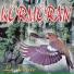 Kormoran