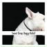 Chillout Dog Sleep