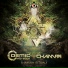 Cosmic Vibration, Champa