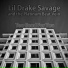 Lil Drake Savage and the Platinum Beat Vein