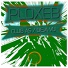 Ploxeb