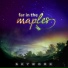 Far in the Maples