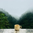 Mother Nature Sound FX, Studying Music, Spa