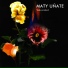 Maty Uñate