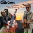 The Cash Cows