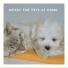 Pet Chillout Music