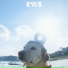 Radwimps