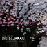 RoelBeat - Wake up city 83 Track 8