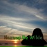 Harvey De Wilde