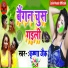 Krishna Zaik