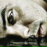 Hawksley Workman