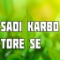Raman Kumar