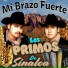 Los Plebes De Sinaloa