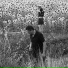 Jesu, Sun Kil Moon
