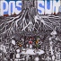 Possum