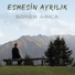 Soner Arica