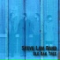 Steve Law Band
