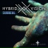 Hybrid Vision