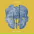 Tom Misch