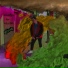 FUCKINGDOG x MEMEGOD