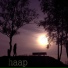 Haap