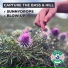 Capture the Bass, Hill