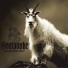 Goatsnake