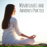 Meditation Awareness